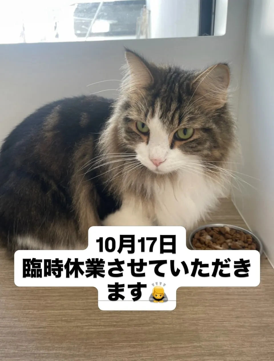 10月17日